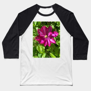 Purple iris in full bloom Baseball T-Shirt